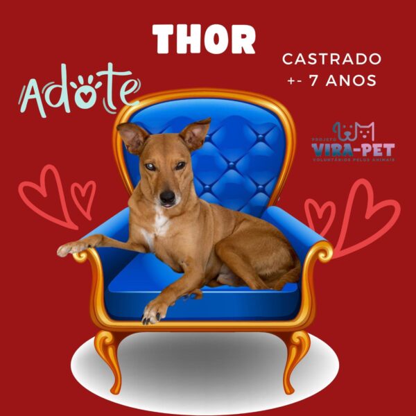 Thor