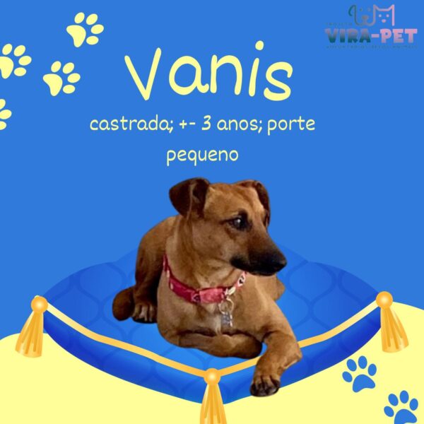 Vanis