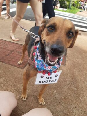 WhatsApp Image 2025-03-10 at 14.03.00 (4) Nininha